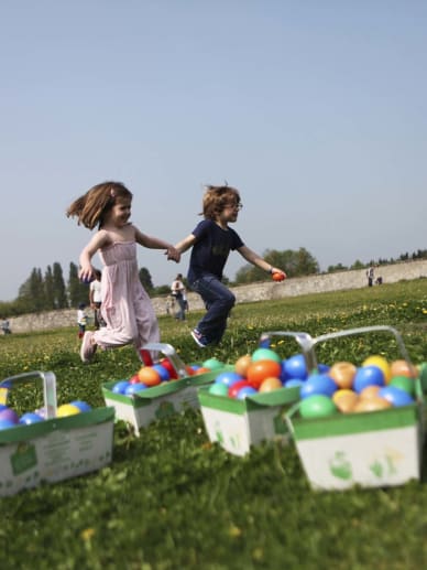 chasse aux oeufs