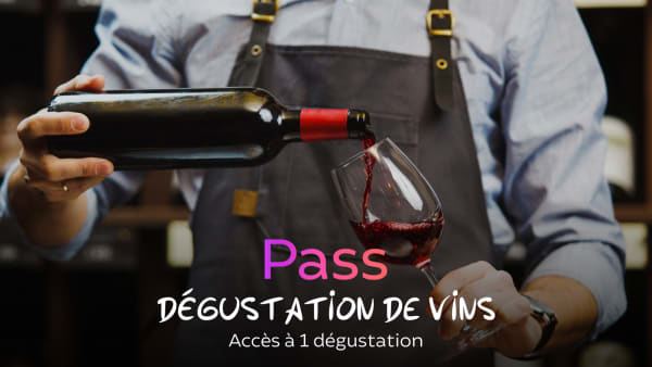 Dégustation de vins