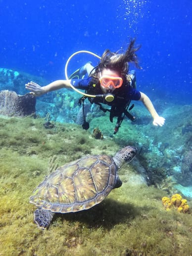 activité à faire à la mer