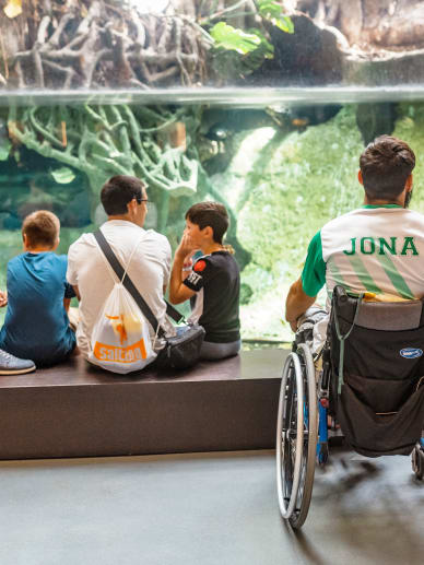 aquarium pmr