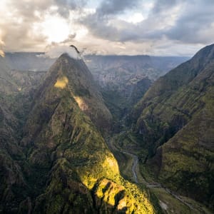 la réunion