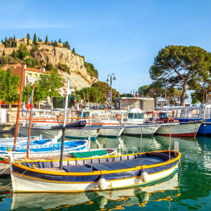 cassis