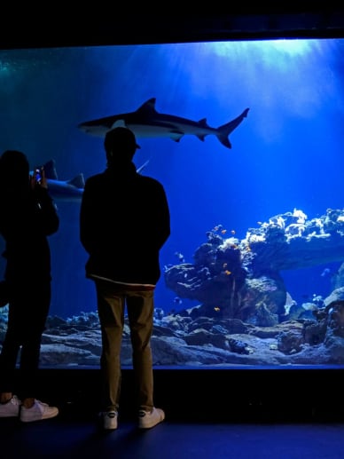 durée aquarium