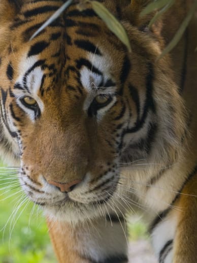 plus grand zoo d'europe