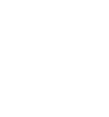 icon coin